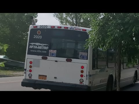 NFTA 2000 Novabus LFS 2020 On Route 23a Bailey-Abbott To Amherst Street