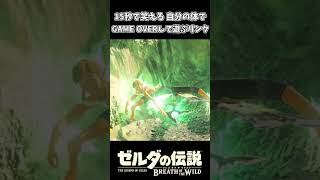 ビリビリGAME OVERで遊ぶ厄災リンクｗｗ【ゼルダの伝説 ブレス オブ ザ ワイルド】