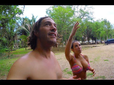 download lagu mp3 mp4 Sanignacio, download lagu Sanignacio gratis, unduh video klip Download Sanignacio Mp3 dan Mp4 Viral Gratis
