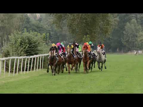 2. dostih - Cena Galerie umění Karlovy Vary - dostihy Karlovy Vary 19. 9. 2021
