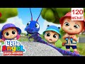 Lagu Serangga Bayi John Little Angel Indonesia Kartun Dan Lagu Anak Favorit