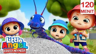 Download lagu Lagu Serangga Bayi John | Little Angel Indonesia | Kartun dan Lagu Anak Favorit mp3