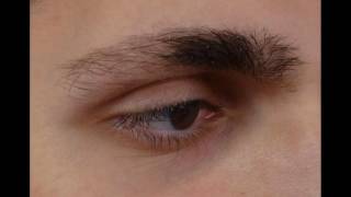 Atopic Dermatitis (Eczema) Leads To Thinning Eyebrows How To Overcome