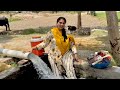 Shehri Kiya Janain Gaon Ki Es Masti Ka Maza Village Life With Aliza Sehar