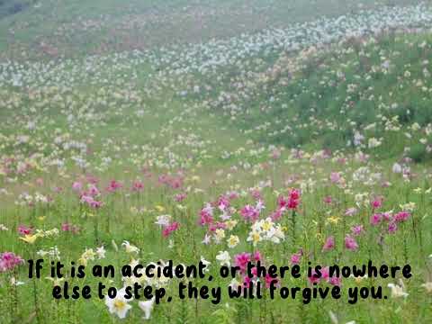 Rules in mother’s world.