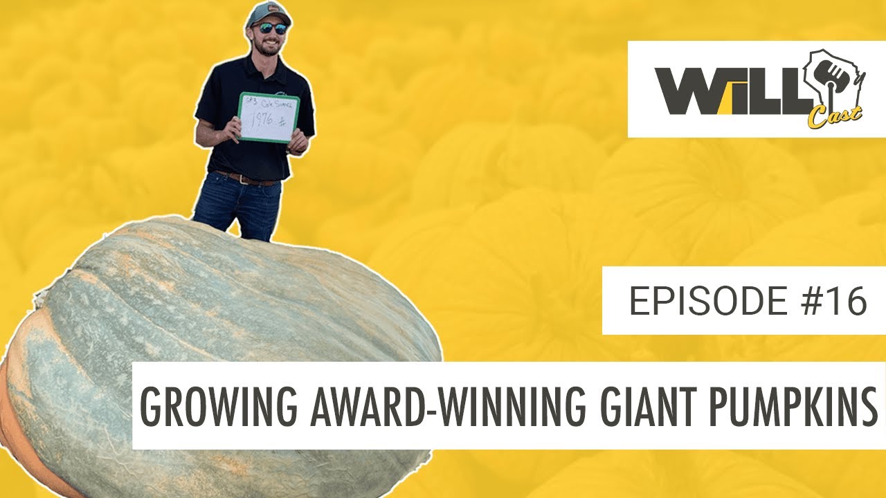 Growing Award-Winning Giant Pumpkins feat. Wisconsin Pumpkin Champ, Cole Sippel