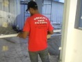 Sistema Anti Panico Porta De Vidro Casa Dos Vidros Perola PR 3636 1015