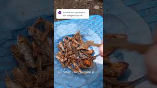 Download lagu Hasil Mancing Ikan Wader Uceng di Goreng Garing Gurih di Makan mp3