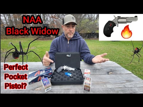 NAA North American Arms Black Widow .22 Magnum Revolver - Would I Really Carry This For Defense?
