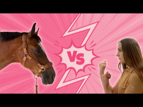 HUMAN VS HORSE 🔥