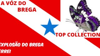 Download lagu Ivan Júnior   A Voz do Brega Calypso mp3