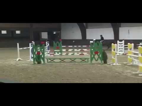 Stute von Fidertanz - M Springen