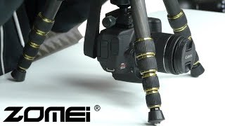Affordable Professional Tripod/Monopod