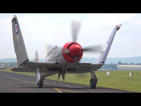 Awakening the Beast: 3050-HP Hawker Sea Fury Roars to Life