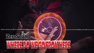 Where Do We Go From Here By David Bjoerk