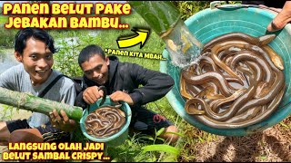 Download lagu JEBAK BELUT PAKAI BAMBU WAJIB PANEN & KAMI OLAH LANGSUNG DI SAWAH mp3 Download lagu JEBAK BELUT PAKAI BAMBU WAJIB PANEN & KAMI OLAH LANGSUNG DI SAWAH mp3