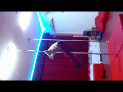 Anastasia Sokolova & Dmitry Politov 2013 (pole fun)