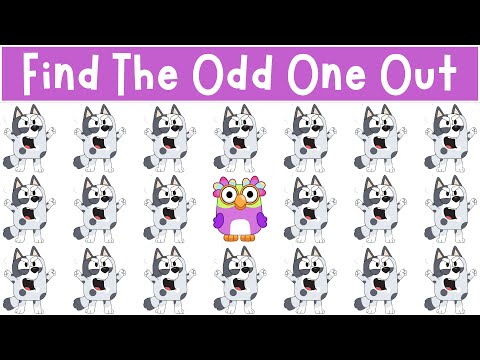Find The Odd One Out: Bluey & Bingo's Friends