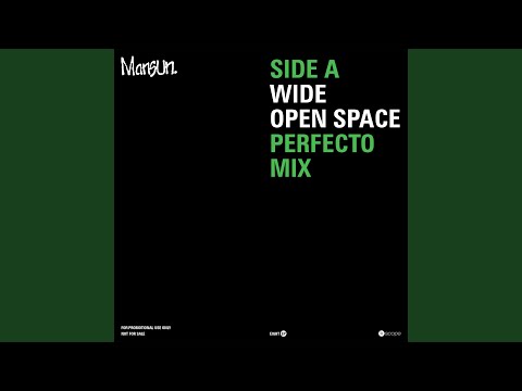 Wide Open Space [Perfecto Mix]