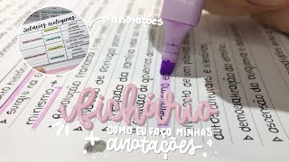meu fichário + como eu faço minhas anotações