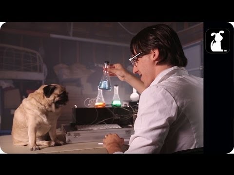 Open video