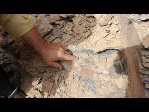 Finding Trilobites in Morocco