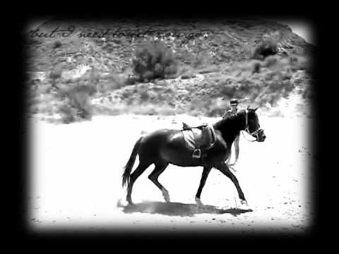 ι ∂ι∂и'т ωαит тσ ℓєт уσυ gσ נυѕт уєт.