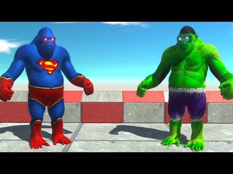 HULK GORO vs SUPERMAN GORO DEATH RUN - Animal Revolt Battle Simulator