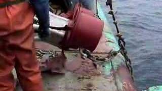Buoy Deployment