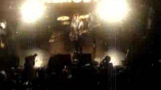 The Almost - Everyone Here Smells Like A Rat