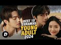 Best 10 Young ADULT Chinese Drama Aired In 2024