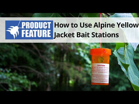  How to Use Alpine Yellow Jacket Wasp Bait Stations Video 