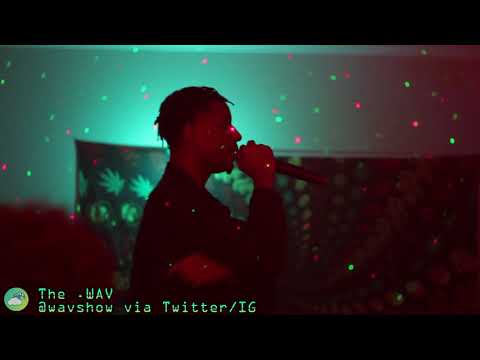 The Wav: WAV3 Vlawg (Jan 2018)