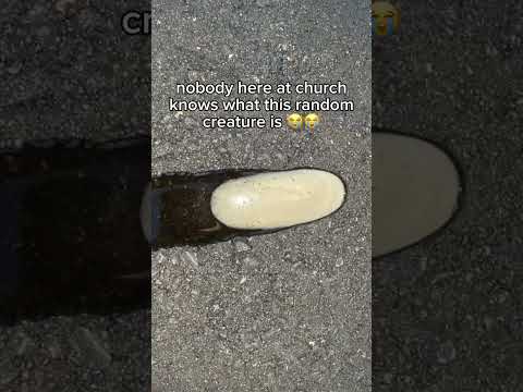 i’m so confused 💀😭￼