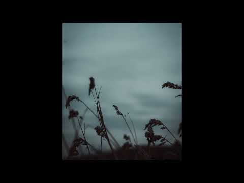 [FREE] skele, guardin, midwest emo type beat | "contributions"