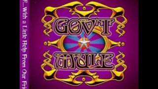 Gov&#39;t Mule - 30 Days in the Hole.wmv