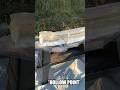 9mm Hollow Point Vs Regular Bullet Defiant Munitions