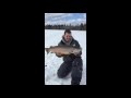 Video Thumbnail for 27 inch Brown Trout, Little Raspberry Lake