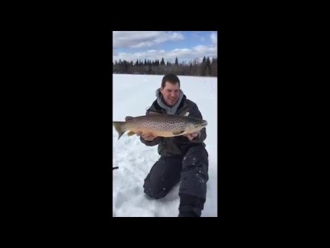 Video Thumbnail for 27 inch Brown Trout, Little Raspberry Lake