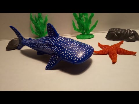 Transforming Animal Whale Shark Robot for Kids!