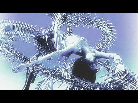 dwams & beansclub - undone