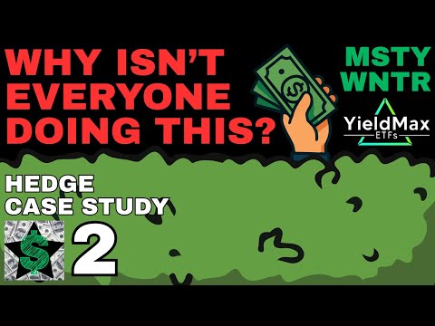 Results after 2 Weeks of Buying YieldMax Hedge ETFs - $MSTY $WNTR