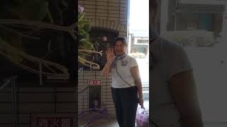 コンサート会場「お迎え花」制作風景