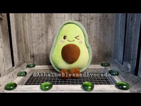 Avocado 11 - Did you know?  #shorts