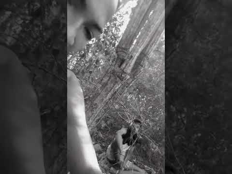 Viene otro para la calle