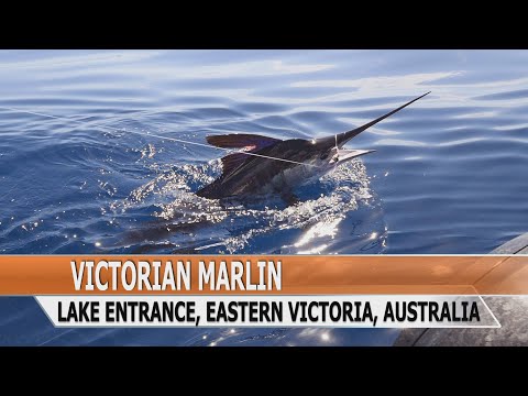 Fishing Edge episode - Lakes Entrance Marlin