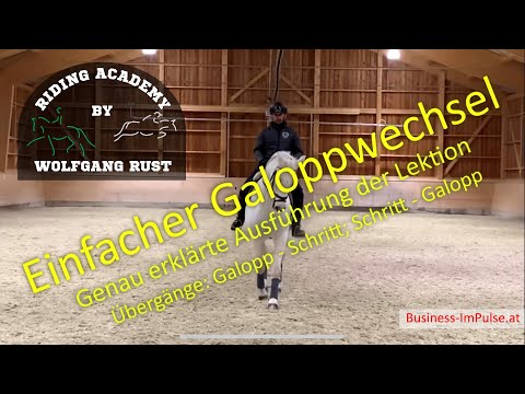 F12: Simple canter changes. Walk-canter transitions, canter-walk transitions, canter collection