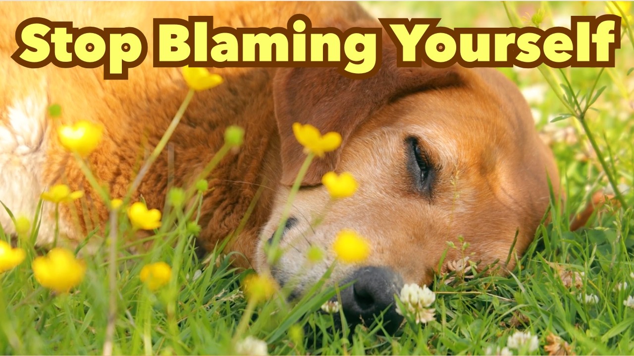 What Your Dog Wishes You Knew After They’ve Gone