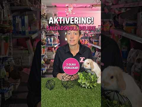 Salladsboll Deluxe med hängare MEGA 16 cm - Video