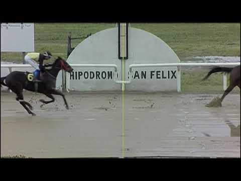 CARRERAS SINT PAYSANDU 210624 c01- 1° KELVI